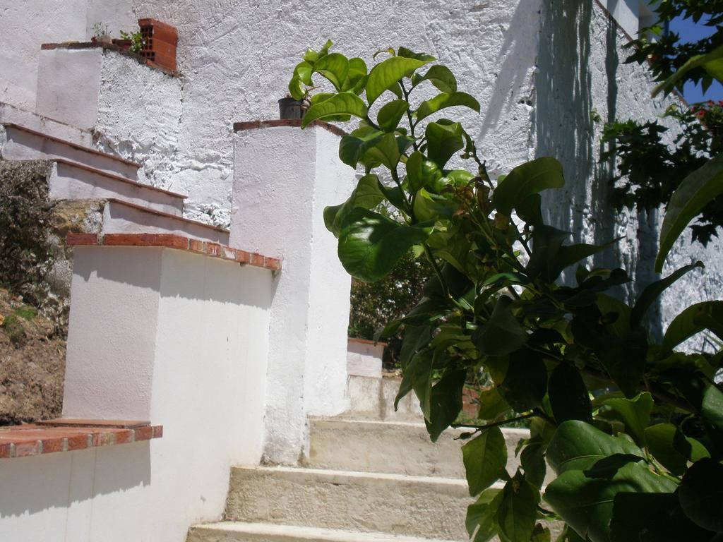Apartamentos Rurales El Canuelo De Carcabuey الغرفة الصورة
